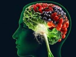 Plant Based Food Decreases the Risk of Cognitive Impairment among Elderly