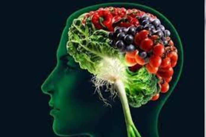 Plant Based Food Decreases the Risk of Cognitive Impairment among Elderly