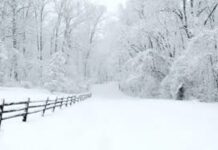 States Of US Announced “Snow Emergency” Due to Intense Winter Storm States Of US Announced Snow Emergency Due to Intense Winter Storm