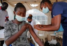 WHO: Africa Is On Track of Improvement From Pandemic WHO: Africa Is On Track of Improvement From Pandemic