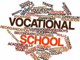 Vocational Colleges often