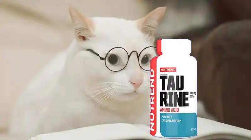 Taurine Supplement